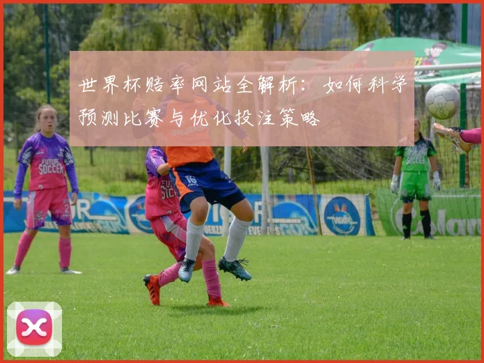 世界杯赔率网站全解析：如何科学预测比赛与优化投注策略