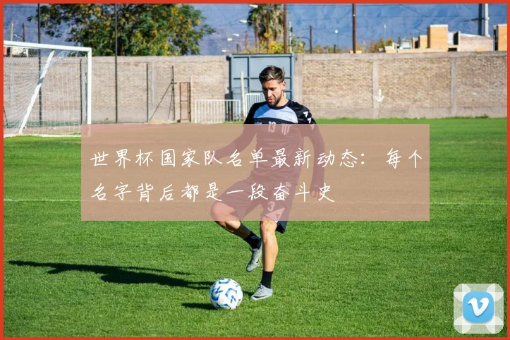 世界杯国家队名单最新动态：每个名字背后都是一段奋斗史