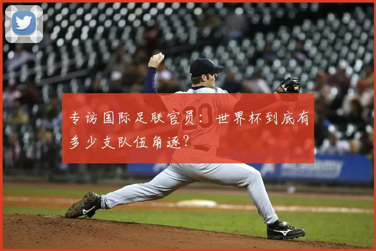 专访国际足联官员:世界杯到底有多少支队伍角逐?