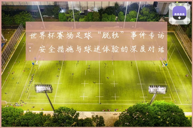 世界杯赛场足球“脱轨”事件专访：安全措施与球迷体验的深度对话