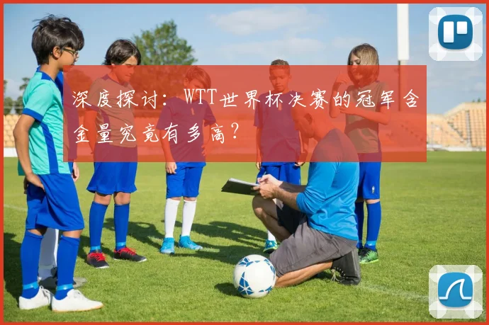 深度探讨:WTT世界杯决赛的冠军含金量究竟有多高?