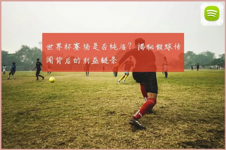 世界杯赛场是否纯洁？揭秘假球传闻背后的利益链条