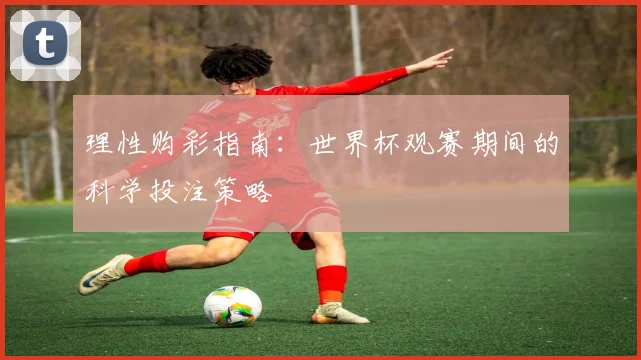 理性购彩指南:世界杯观赛期间的科学投注策略