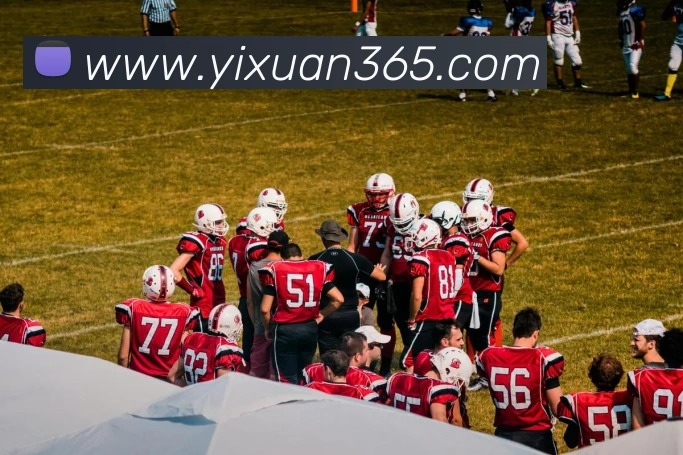 星空体育中国官方网站平台生态图