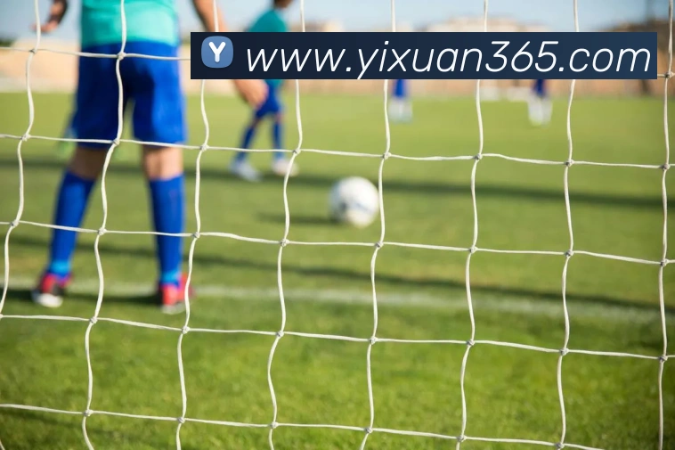 星空体育中国官方网站全站App